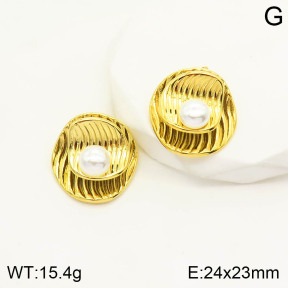 2E3002033vhnv-669  Stainless Steel Earrings