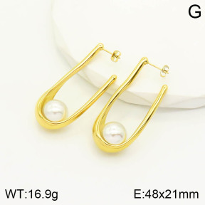 2E3002034vhnv-669  Stainless Steel Earrings