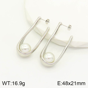 2E3002035vhnv-669  Stainless Steel Earrings
