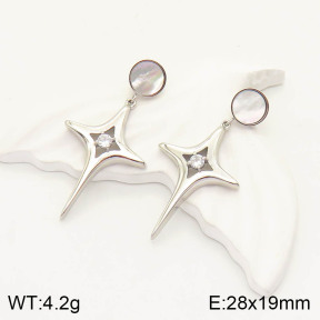 2E3002040ahlv-669  Stainless Steel Earrings
