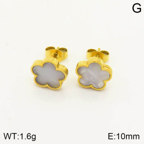 2E3002046vbmb-669  Stainless Steel Earrings