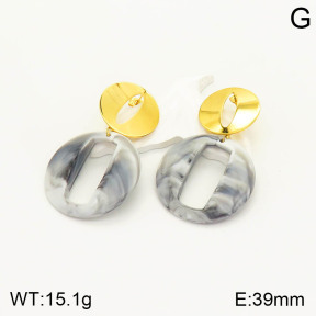 2E4003166vbmb-212  Stainless Steel Earrings