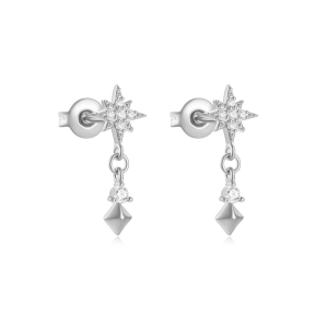 JE6221bihi-Y30  925 Silver Earrings  WT:0.96g  7*17mm