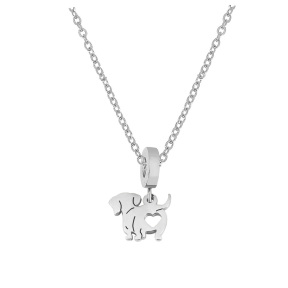 6N2004304aakl-691  Stainless Steel Necklace  Size:40+5CM