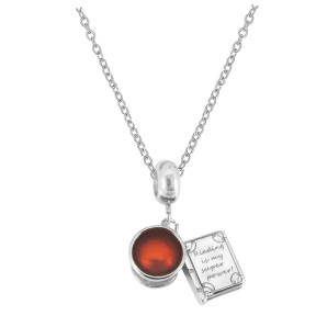 6N2004354vbpb-691  Stainless Steel Necklace  Size:40+5CM