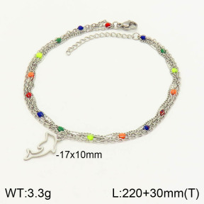 2A9001050ablb-610  Stainless Steel Anklets