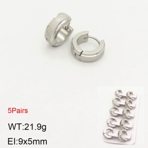 2E2003544ahlv-233  Stainless Steel Earrings