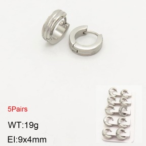 2E2003546ahlv-233  Stainless Steel Earrings