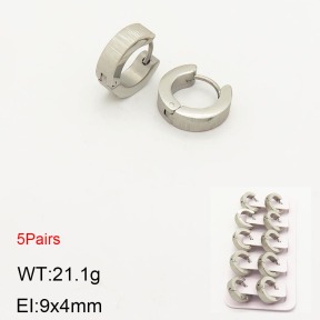 2E2003548ahlv-233  Stainless Steel Earrings