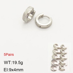 2E2003549ahlv-233  Stainless Steel Earrings