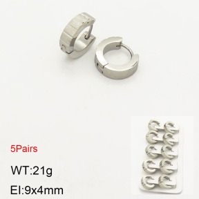 2E2003550vhnl-233  Stainless Steel Earrings