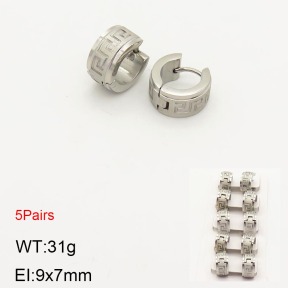 2E2003551vhnl-233  Stainless Steel Earrings