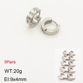 2E2003555ahlv-233  Stainless Steel Earrings