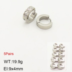 2E2003558ahlv-233  Stainless Steel Earrings