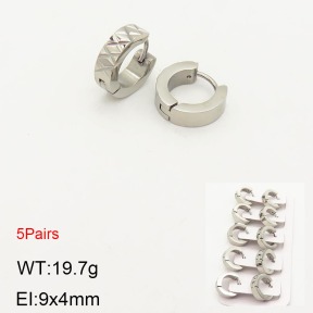 2E2003559ahlv-233  Stainless Steel Earrings