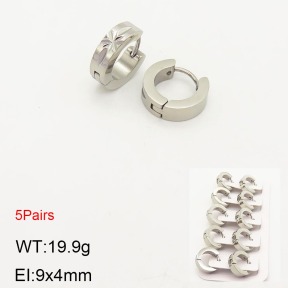 2E2003560ahlv-233  Stainless Steel Earrings