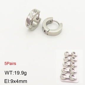 2E2003562ahlv-233  Stainless Steel Earrings