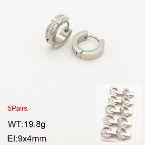 2E2003563ahlv-233  Stainless Steel Earrings