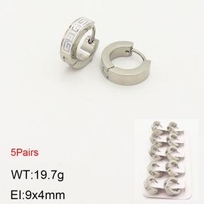 2E2003573aivb-233  Stainless Steel Earrings