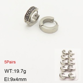 2E2003574aivb-233  Stainless Steel Earrings