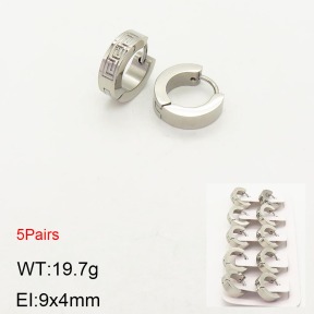 2E2003575aivb-233  Stainless Steel Earrings