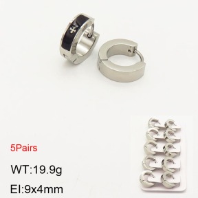 2E2003578aivb-233  Stainless Steel Earrings