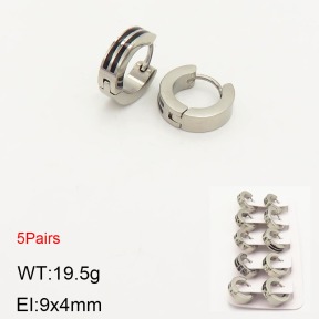 2E2003579aivb-233  Stainless Steel Earrings