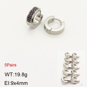2E2003581aivb-233  Stainless Steel Earrings