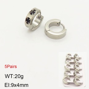 2E2003583aivb-233  Stainless Steel Earrings