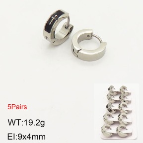 2E2003584aivb-233  Stainless Steel Earrings