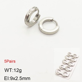 2E2003625vhnl-233  Stainless Steel Earrings