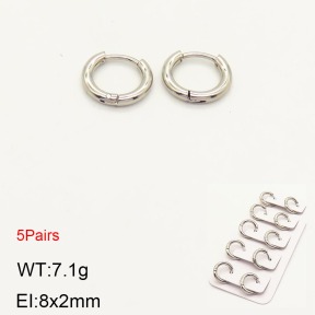 2E2003643vhnl-233  Stainless Steel Earrings