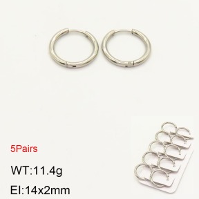 2E2003652vhnl-233  Stainless Steel Earrings