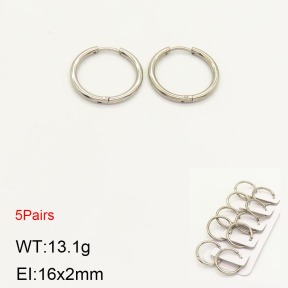 2E2003655vhnl-233  Stainless Steel Earrings