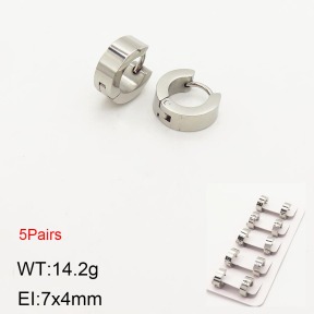 2E2003659vbpb-233  Stainless Steel Earrings