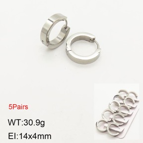 2E2003662vbpb-233  Stainless Steel Earrings