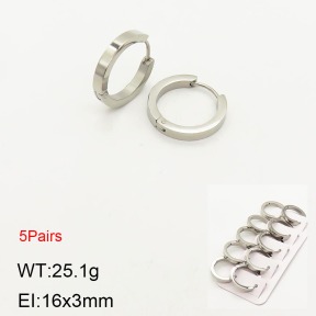 2E2003668ahlv-233  Stainless Steel Earrings