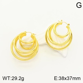 2E2003703vbnl-434  Stainless Steel Earrings