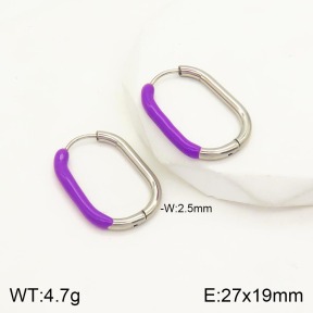 2E3002061vbmb-434  Stainless Steel Earrings