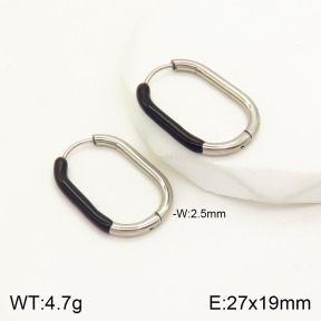 2E3002062vbmb-434  Stainless Steel Earrings