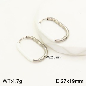 2E3002063vbmb-434  Stainless Steel Earrings