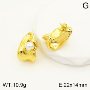 2E3002073vbnl-434  Stainless Steel Earrings
