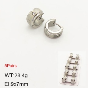 2E4003179aivb-233  Stainless Steel Earrings