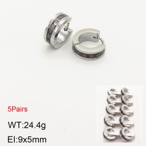 2E4003180ainl-233  Stainless Steel Earrings