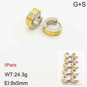 2E4003181ainl-233  Stainless Steel Earrings