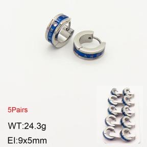2E4003182ainl-233  Stainless Steel Earrings