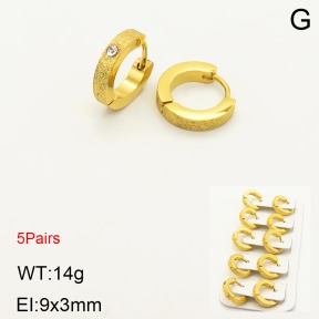 2E4003183aivb-233  Stainless Steel Earrings