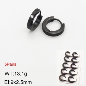 2E4003184aivb-233  Stainless Steel Earrings