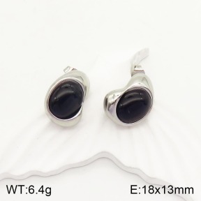 2E4003202vbnl-434  Stainless Steel Earrings