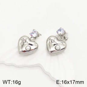 2E4003205vbnl-434  Stainless Steel Earrings